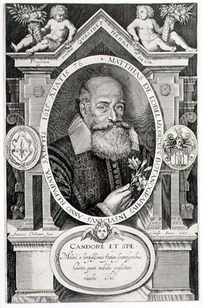Sanatçı tarafından oyulmuş Matthias de Lobel (1538-1622) portresi by Francis Delaram