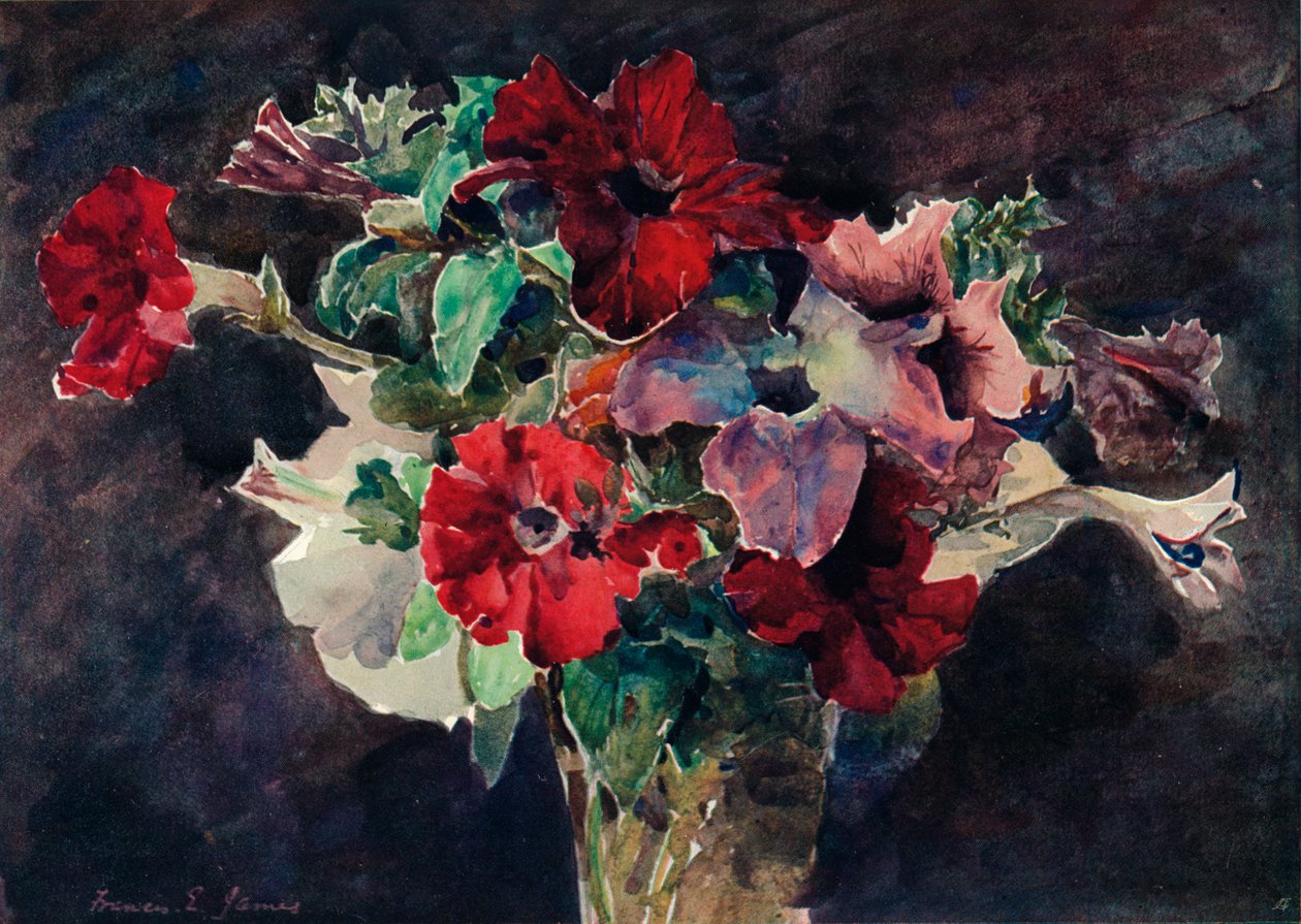 Petunyalar, c1869-1906, 1906 by Francis Edward James