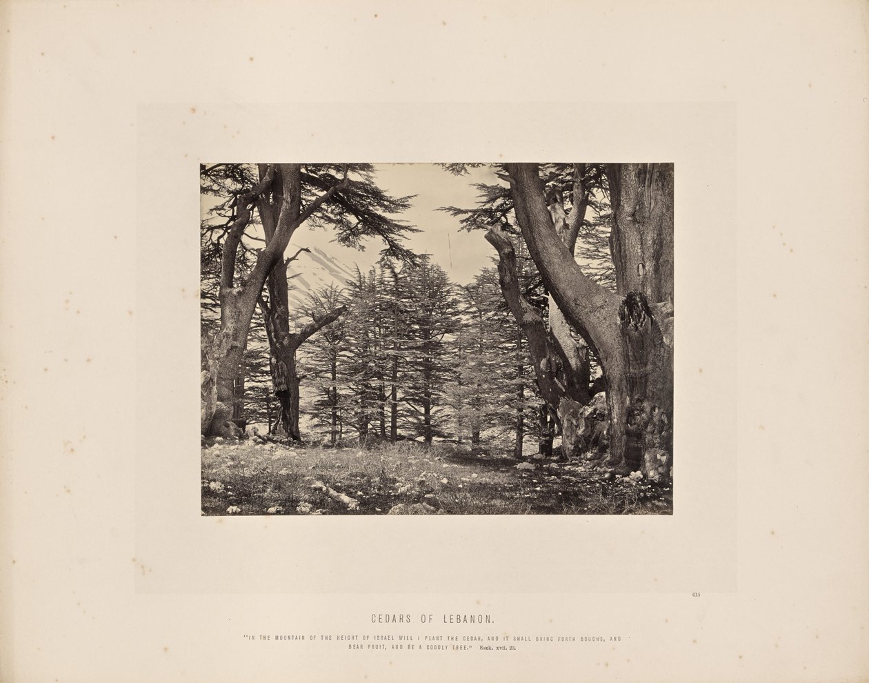  by Francis Frith