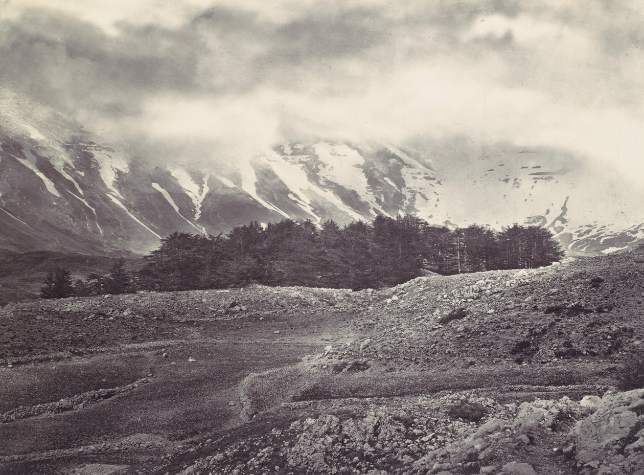 Lübnan Sedirlerinin Uzak Görünümü, yak. 1857. by Francis Frith
