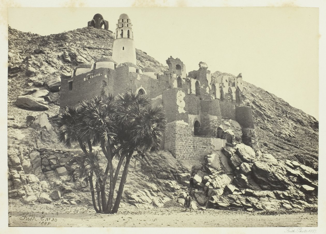Doum Palmiyesi ve Harap Cami, Philæ by Francis Frith