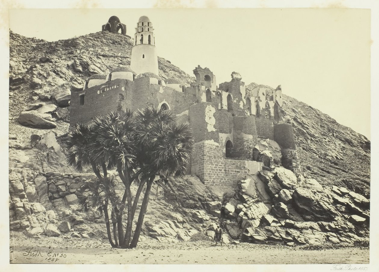 Doum Palmiyesi ve Harap Cami, Philæ, 1857. by Francis Frith