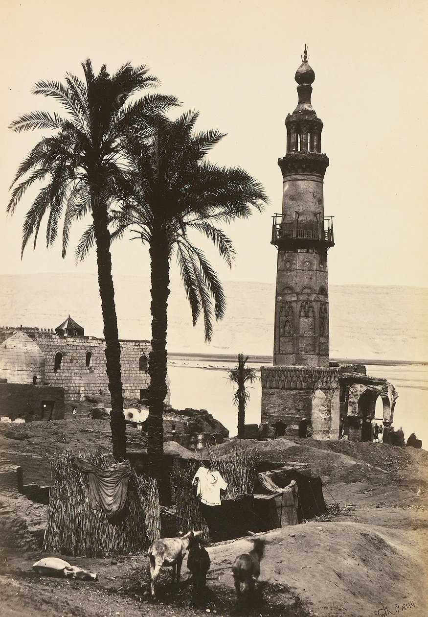 "Mısır ve Filistin": Girgeh