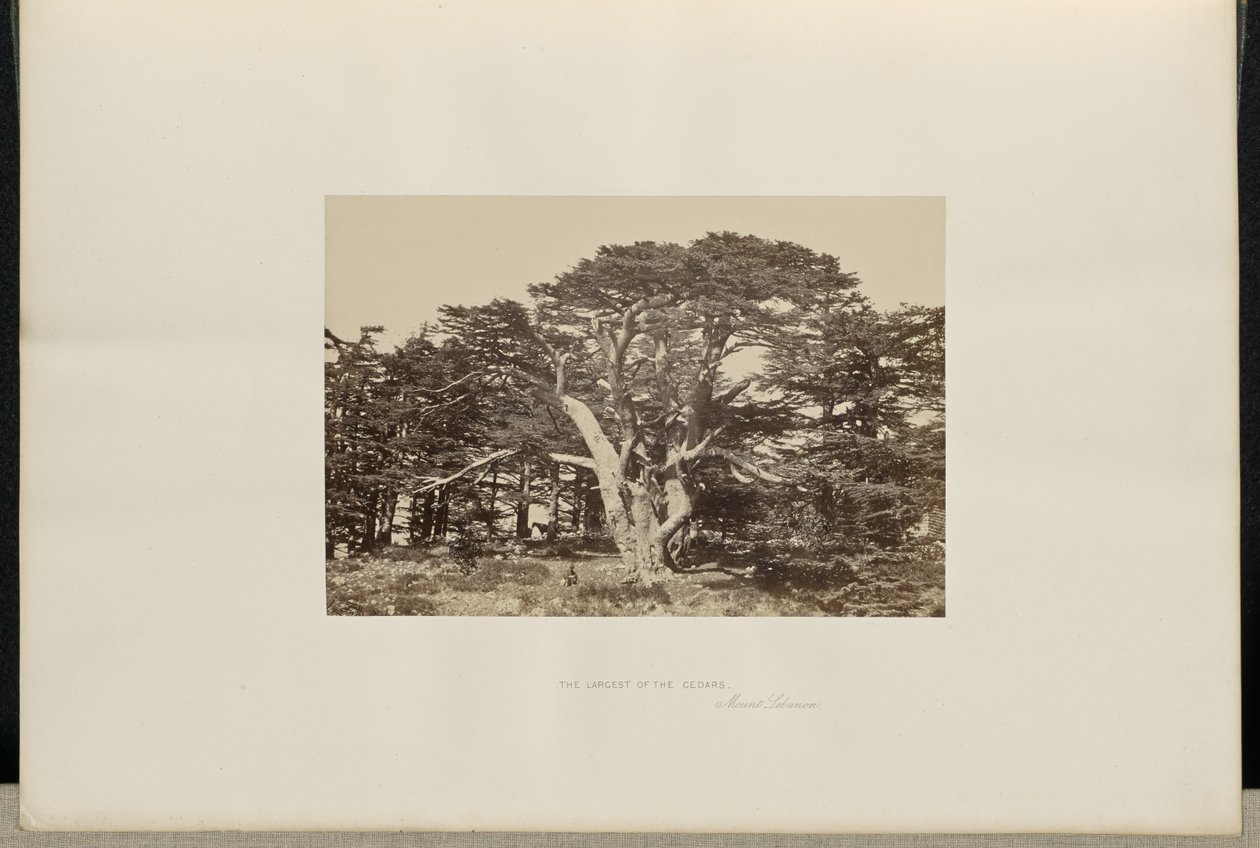  by Francis Frith