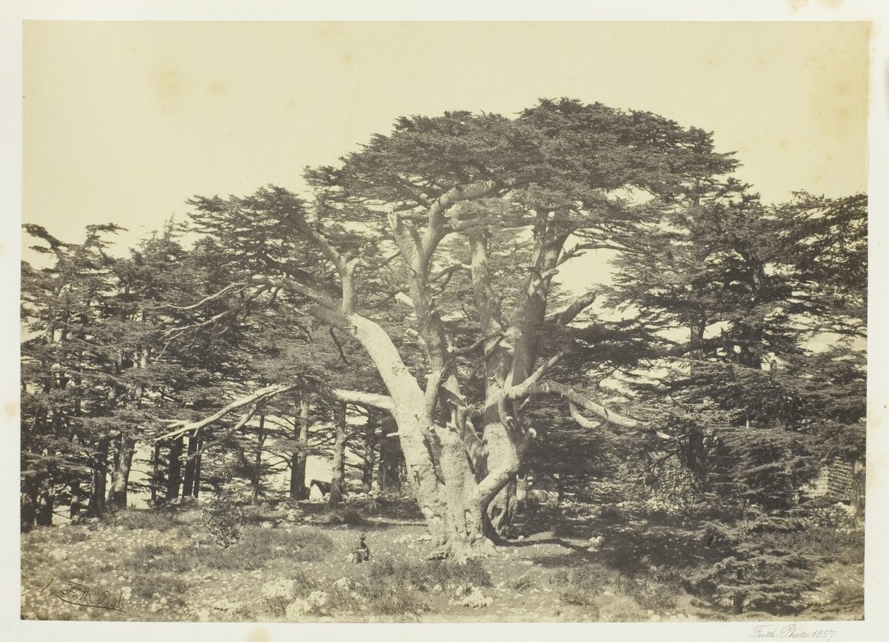  by Francis Frith