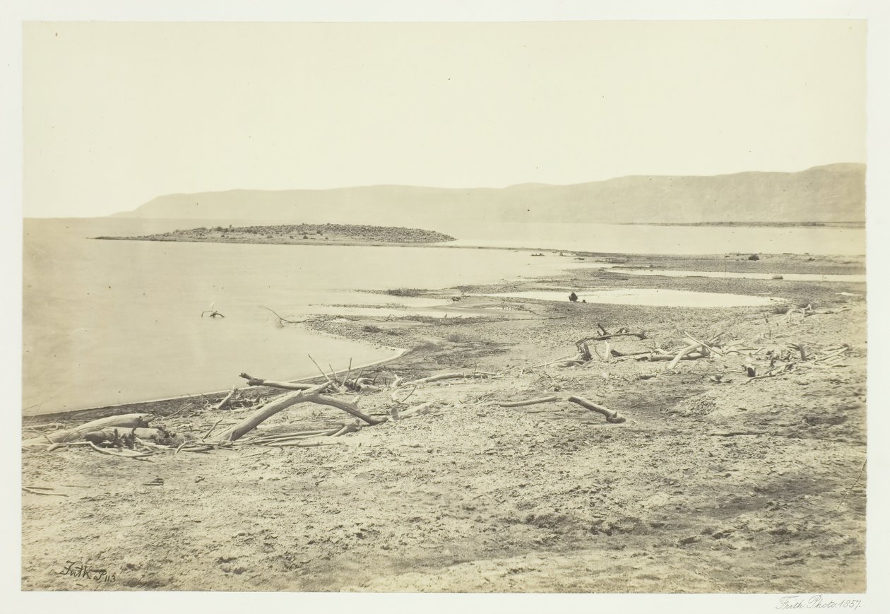 Ölü Deniz