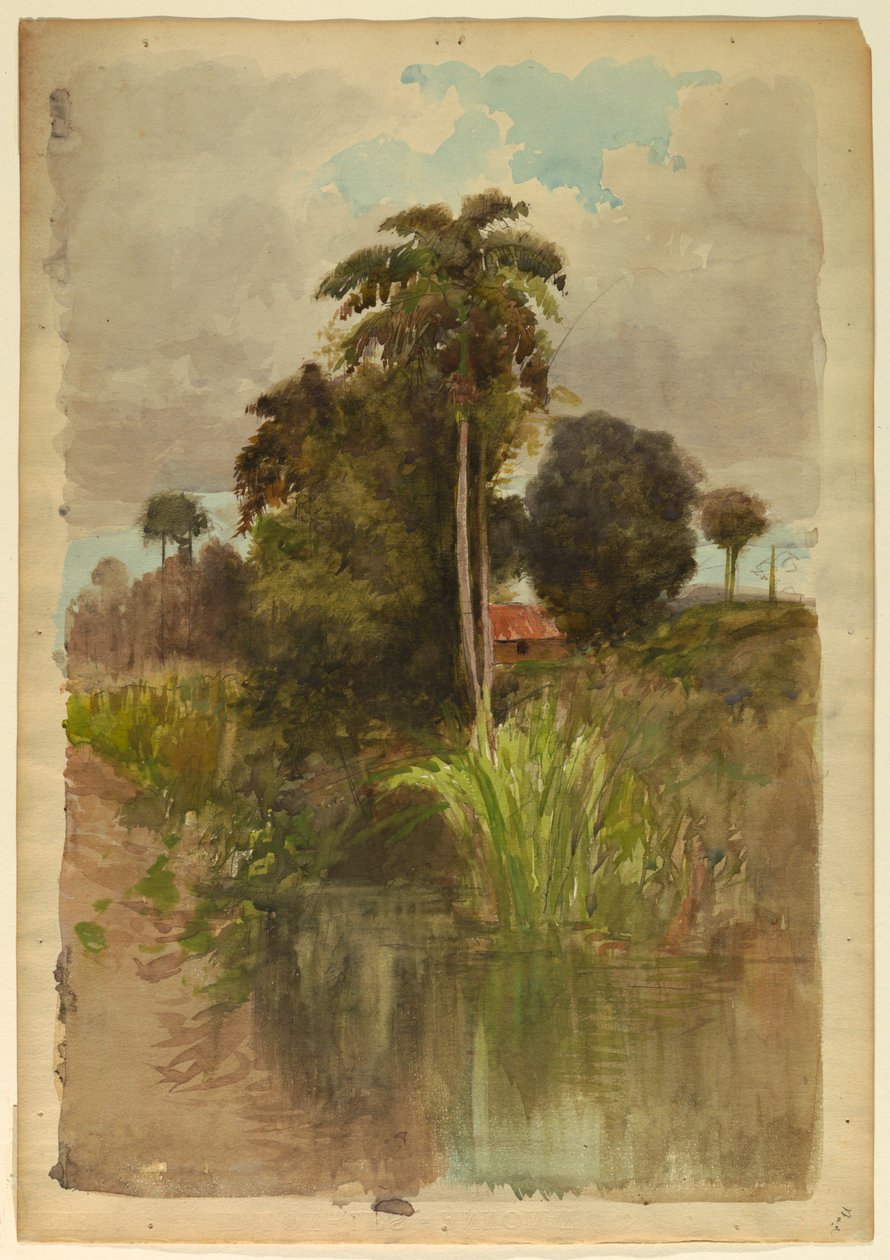 Palmiye ağaçlarının incelenmesi by Francis Hopkinson Smith