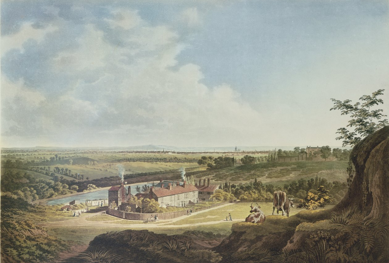 Hampstead Heath