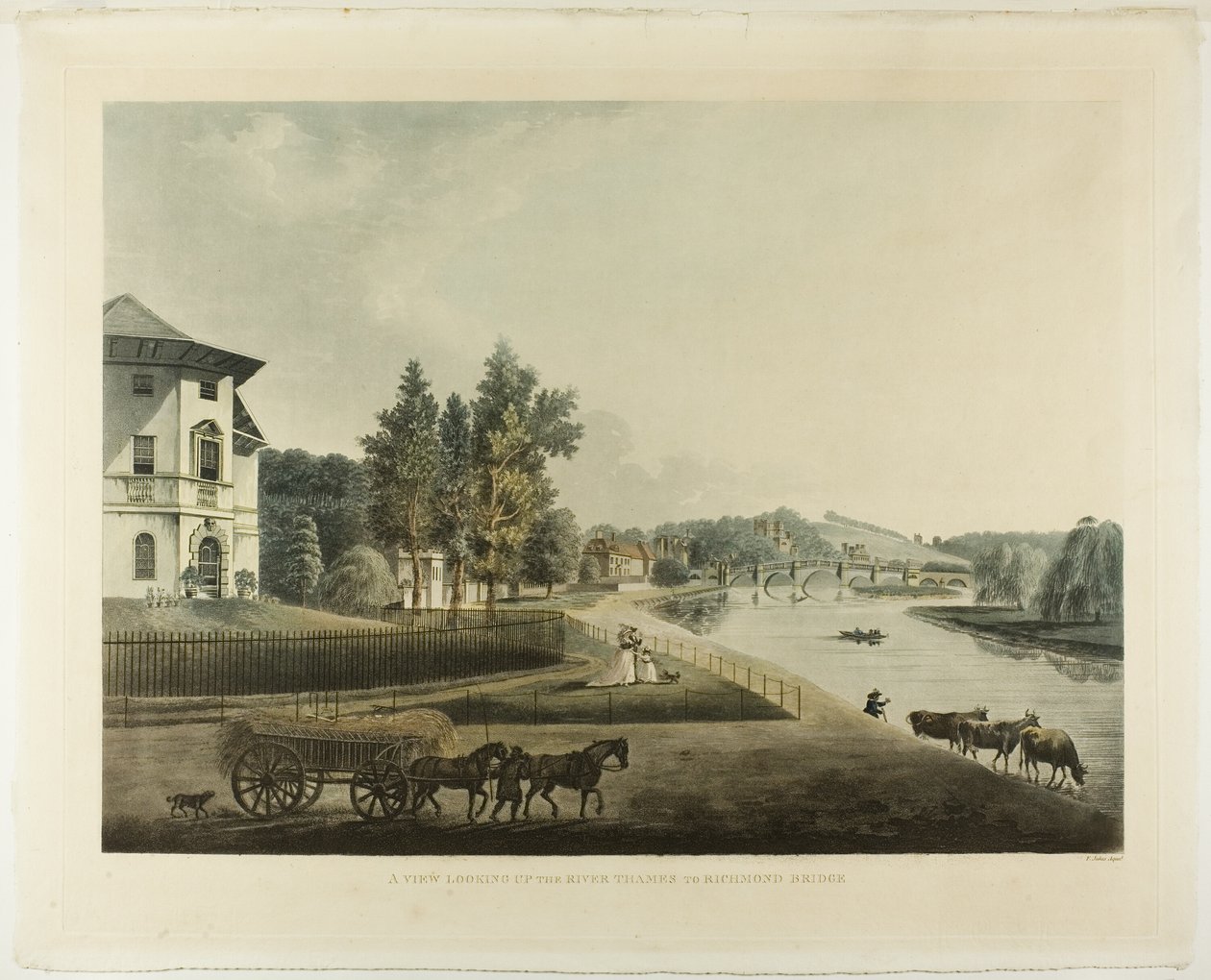 Thames Nehri