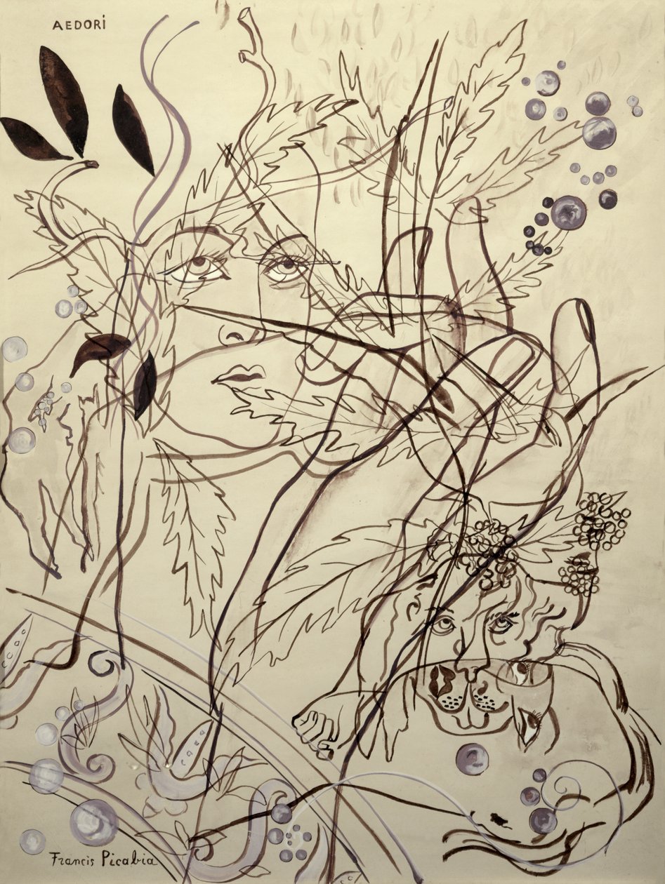  by Francis Picabia