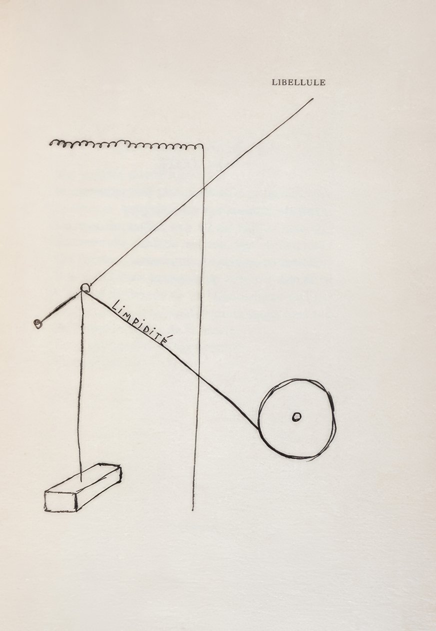  by Francis Picabia