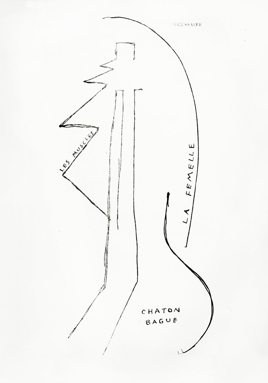  by Francis Picabia