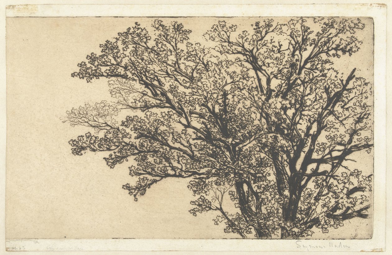 Bir ağacın taç En erken ağaç by Francis Seymour Haden (Sir) (signed by artist)