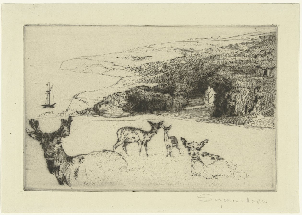 Newton Malikanesi by Francis Seymour Haden (Sir) (signed by artist)