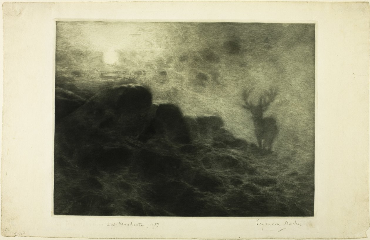 Erken Kalkıcı by Francis Seymour Haden