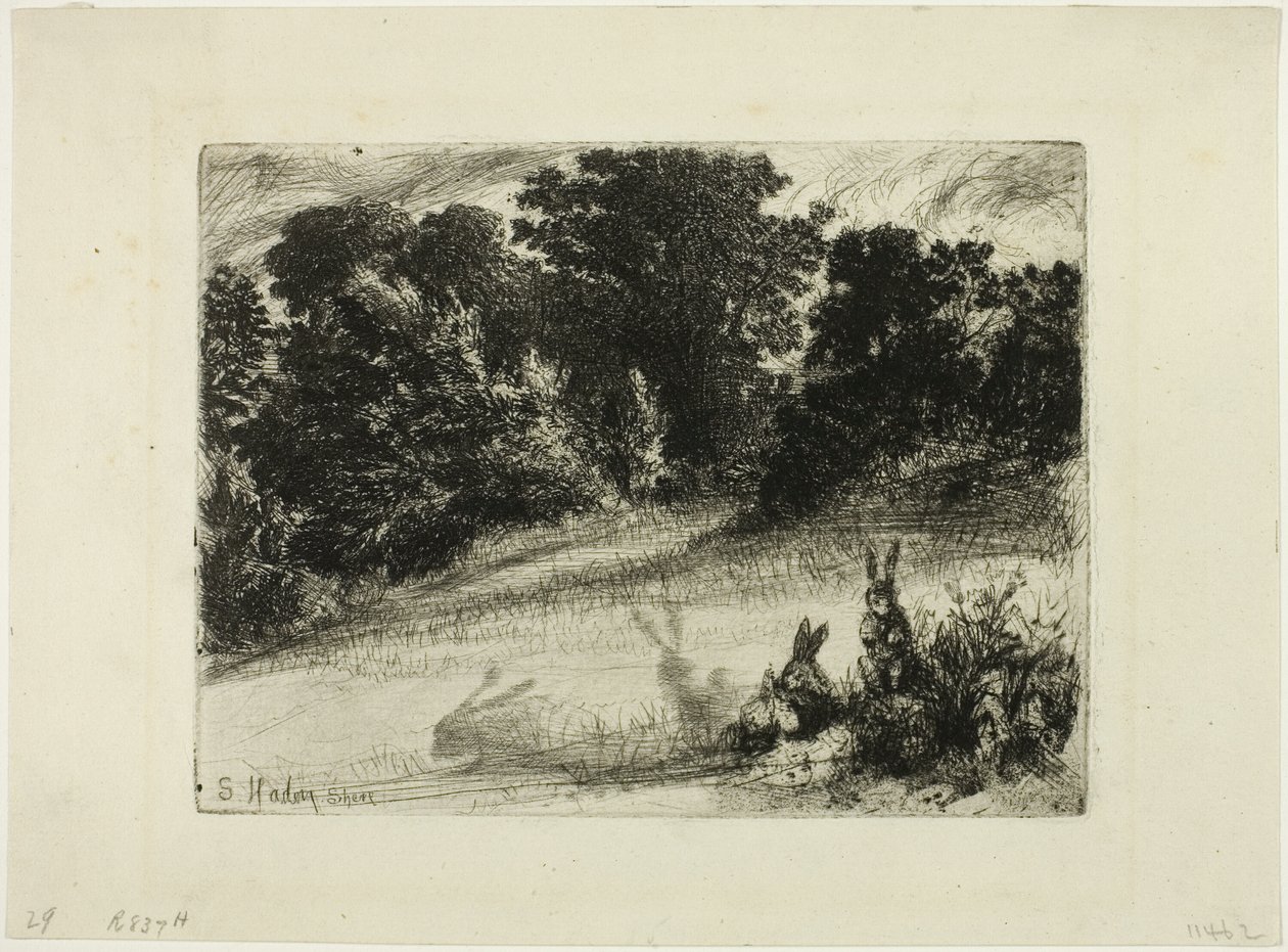 alt tarak by Francis Seymour Haden