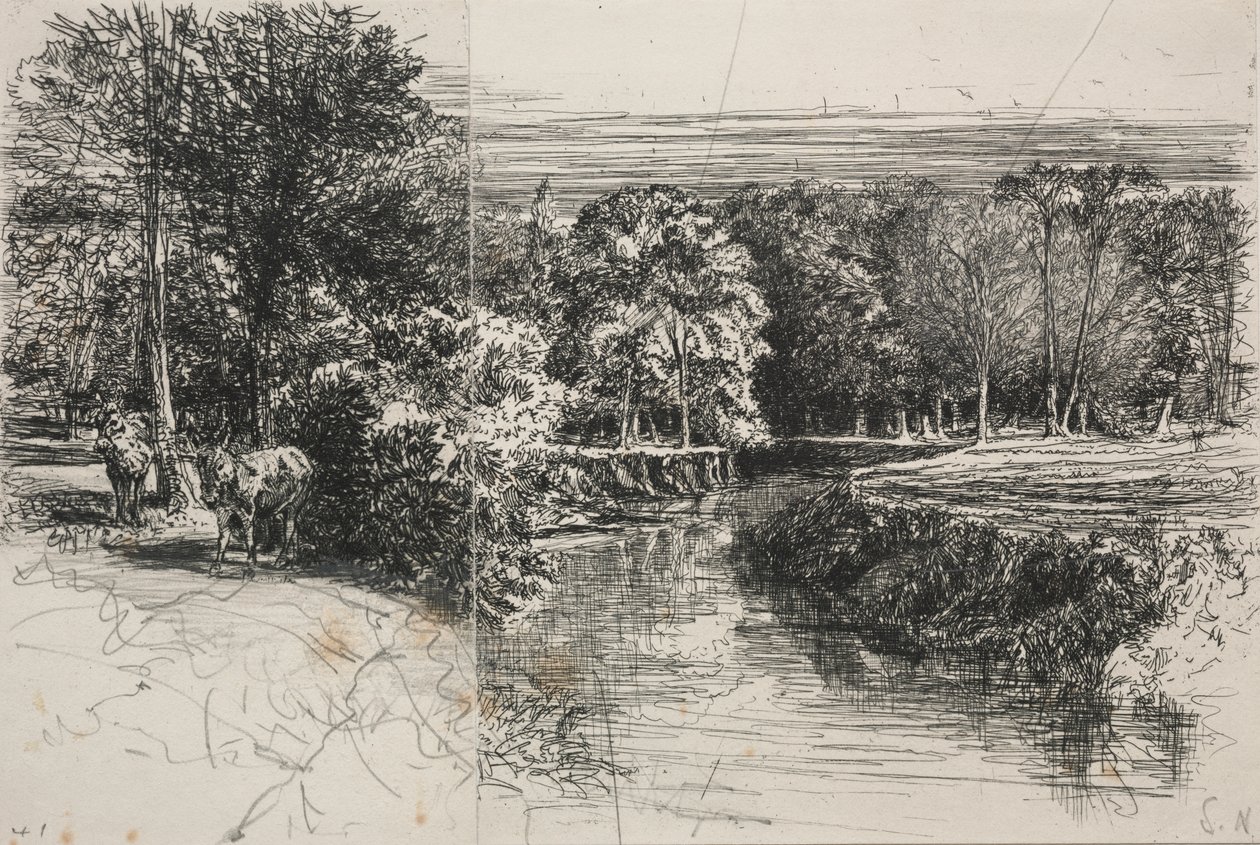 Dundrum Nehri ve İki Eşek by Francis Seymour Haden