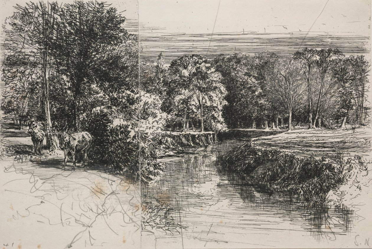Dundrum Nehri ve İki Eşek, 1863. by Francis Seymour Haden