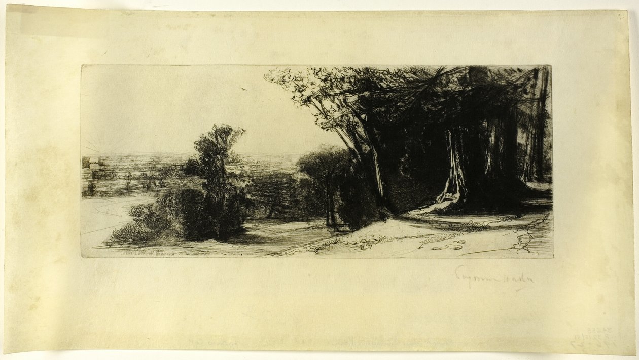 Sabah Erken, Richmond Parkı by Francis Seymour Haden