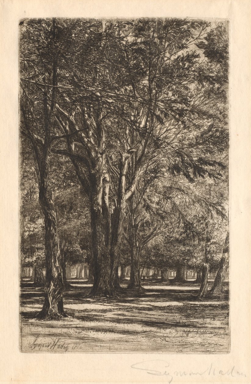 Kensington Bahçeleri, No. 2 Büyük Plaka, 1860. by Francis Seymour Haden