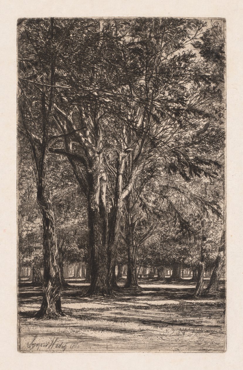 Kensington Bahçeleri, No. 2 Büyük Plaka, 1860. by Francis Seymour Haden