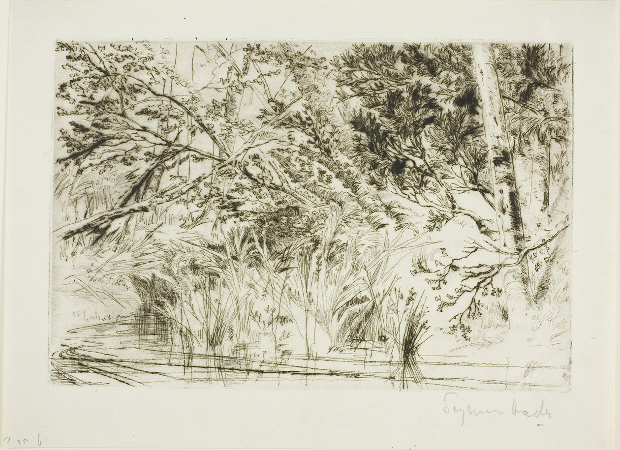 Derenin Ağzı, No. II by Francis Seymour Haden