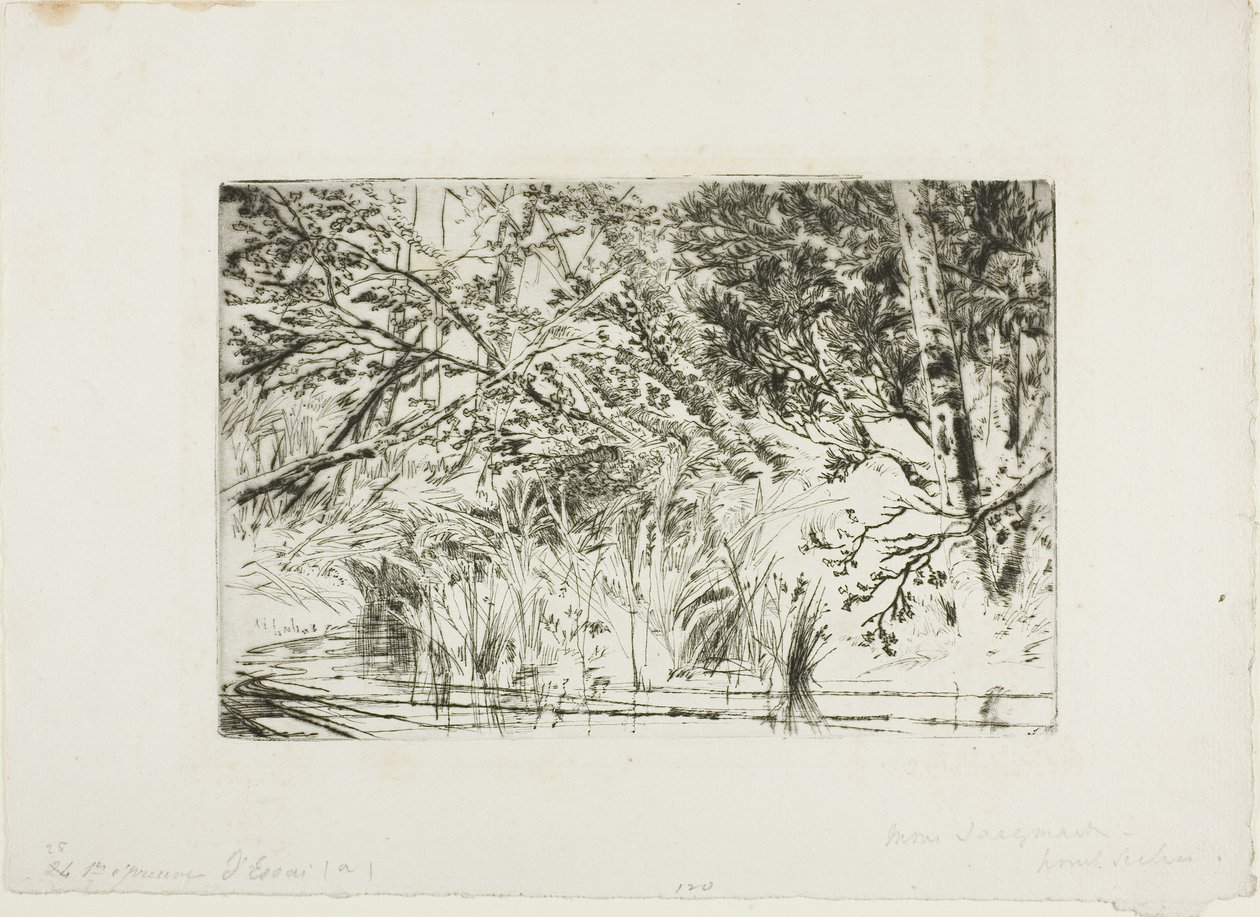 Derenin Ağzı, No. II by Francis Seymour Haden