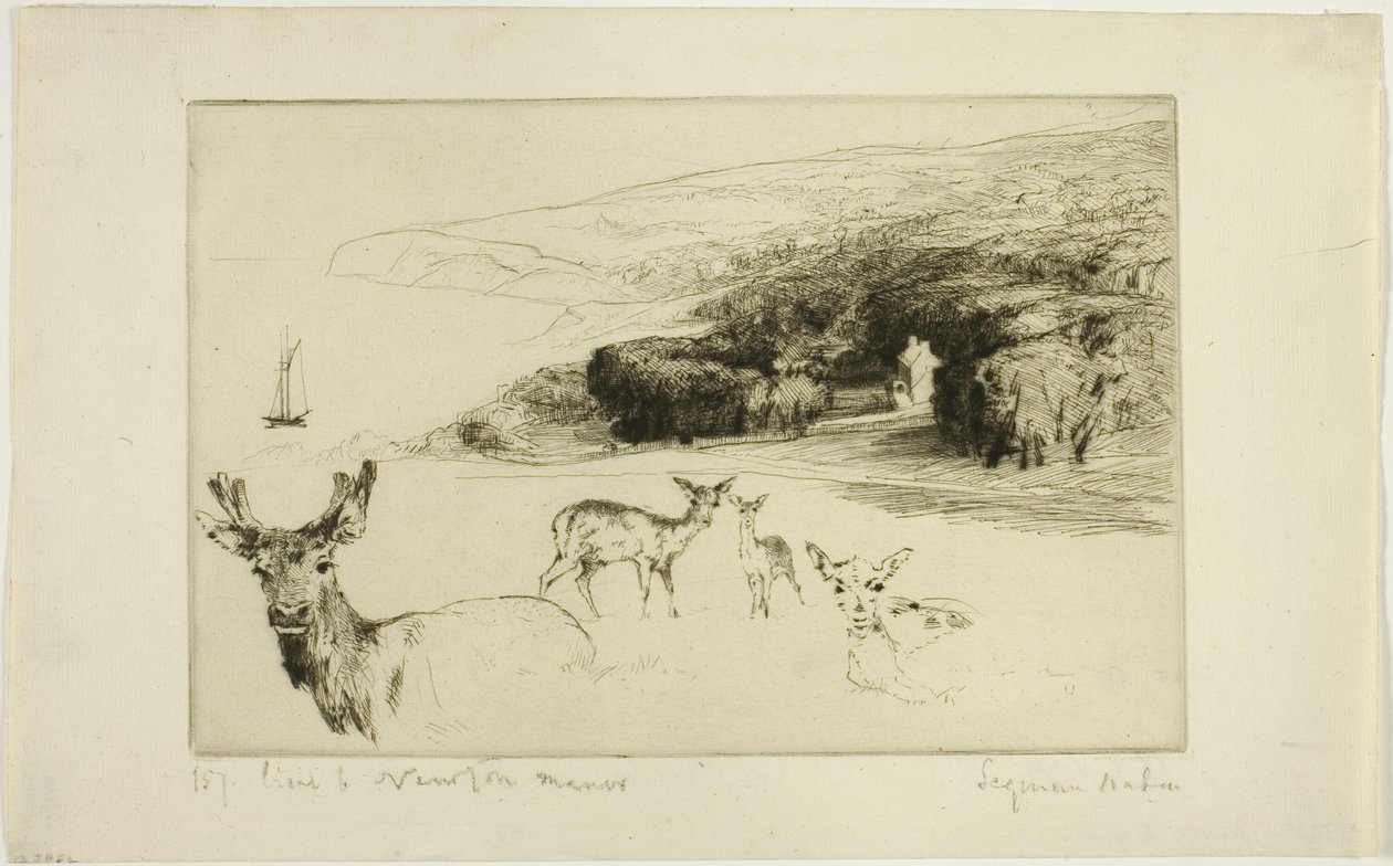 Newton Malikanesi by Francis Seymour Haden