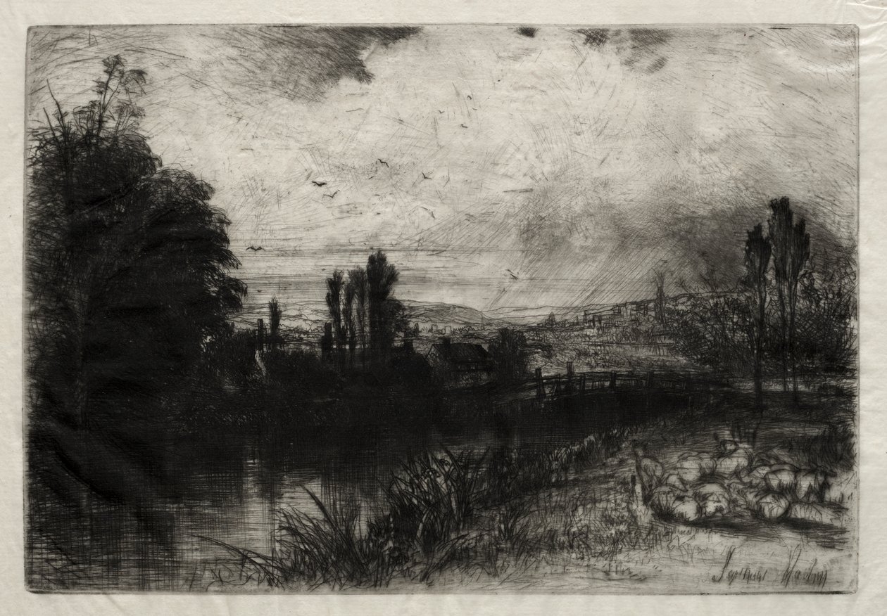 Testte by Francis Seymour Haden