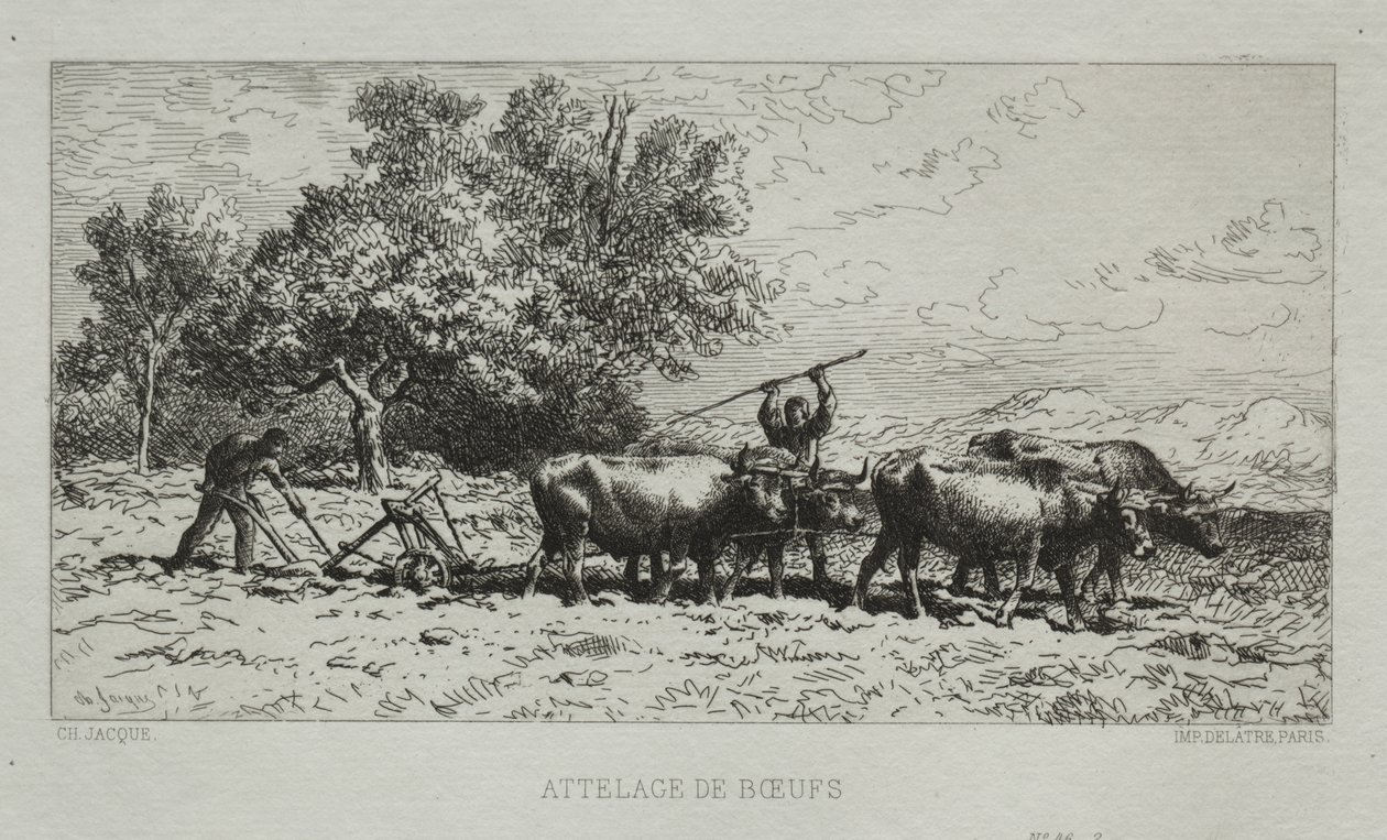 Öküz Takımı by Francis Seymour Haden