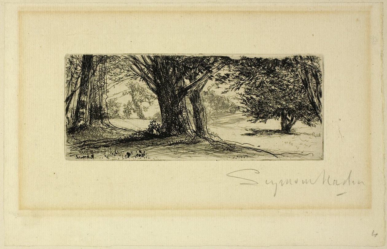 Holly Tarlaları by Francis Seymour Haden