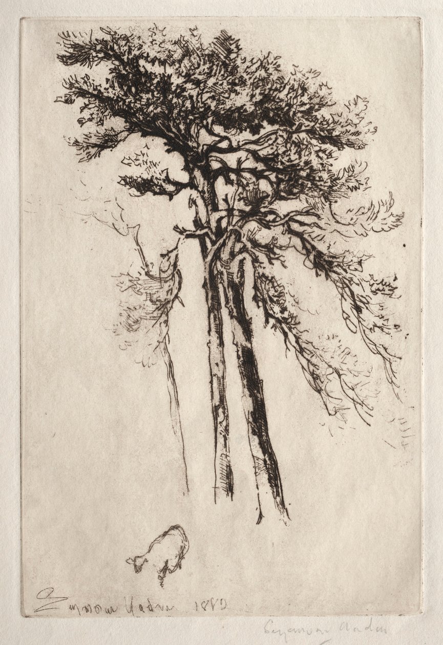 Son Ağaç, 1882. by Francis Seymour Haden