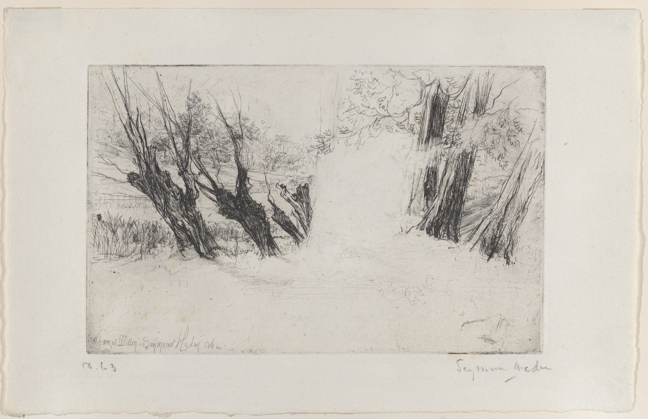 Aşıklar Yürüyüşü, No. I, 1864., 1864. by Francis Seymour Haden