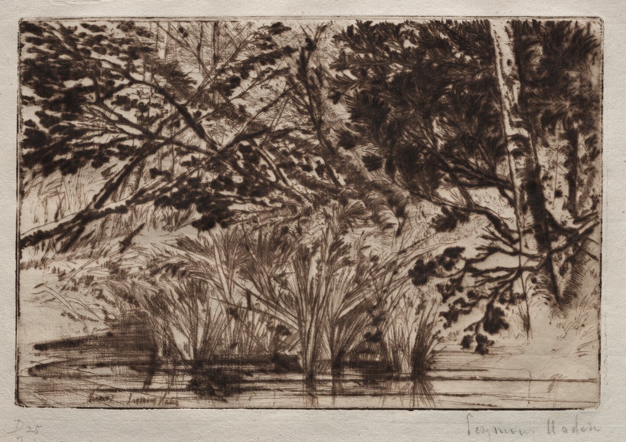 Derenin Ağzı (İkinci Levha) by Francis Seymour Haden