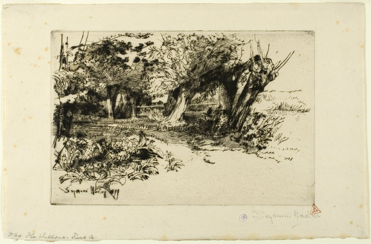 Söğütler by Francis Seymour Haden