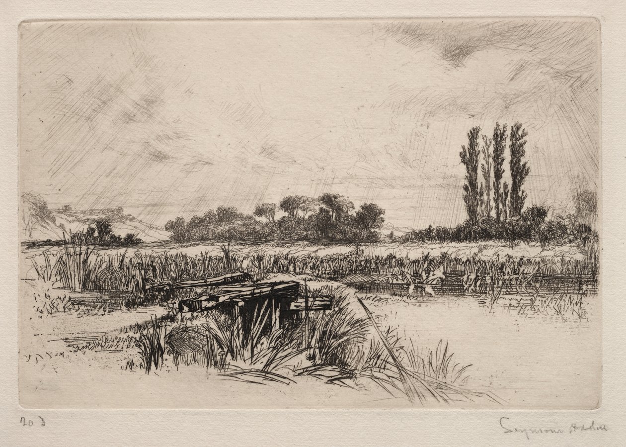 Su Çayırı by Francis Seymour Haden