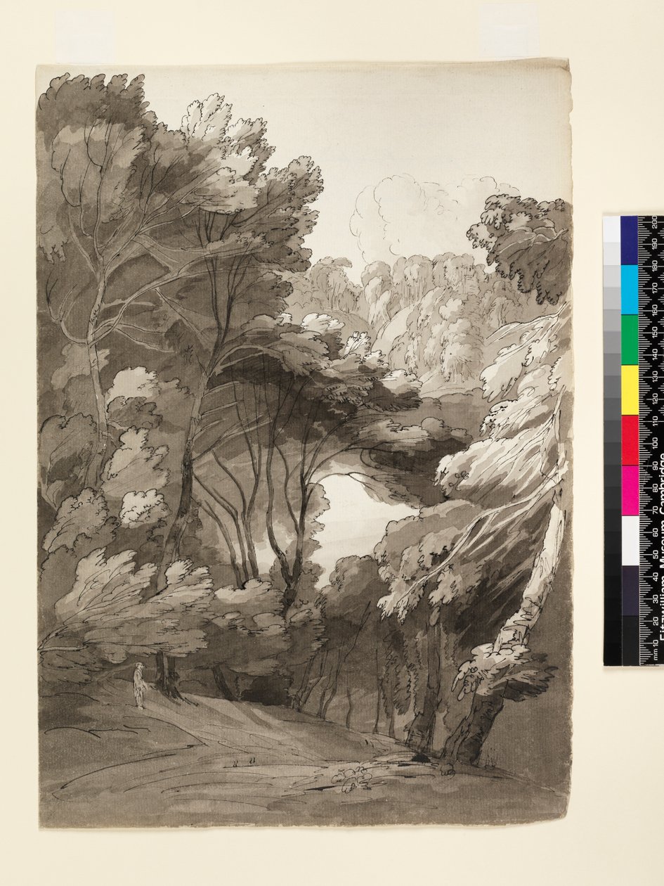 No.1093 A Wooded Landscape, 1788 (kağıt üzerinde mürekkep ve yıkama) by Francis Towne