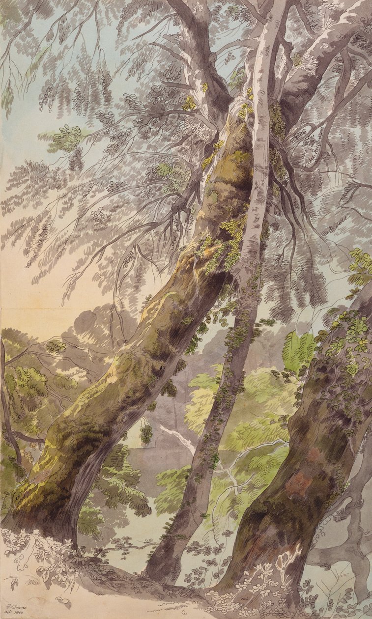 Su Sarkan Ağaçlar by Francis Towne