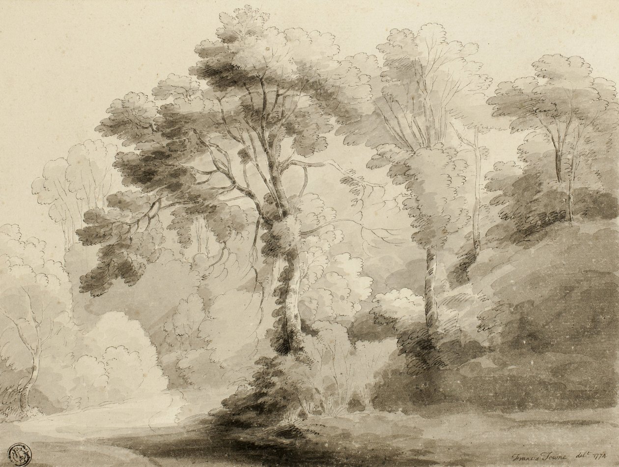 Ormanlık alan, 1774 by Francis Towne