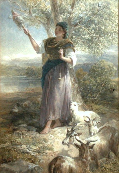 İspanyol keçisi (kağıt üzerine sulu boya) by Francis William Topham