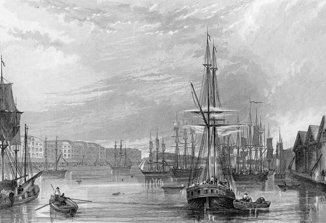 Batı Hindistan Rıhtımı, John Woods tarafından 