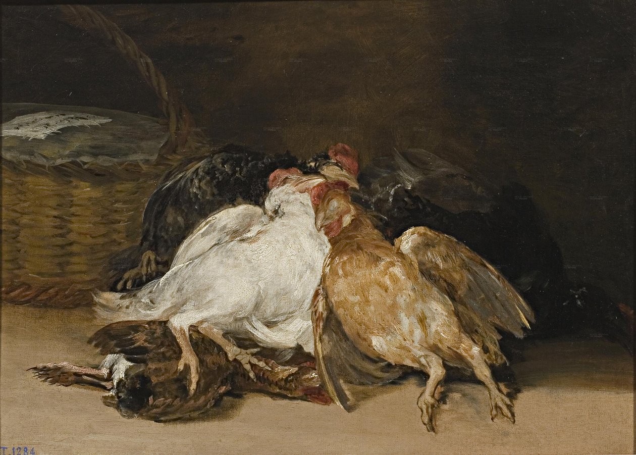 ölü kuşlar by Francisco de Goya