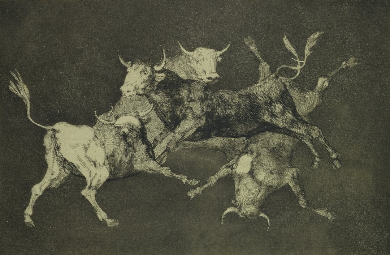Folly of the Bulls, Follies serisinden, c.1815-24 (Japon kağıdına gravür ve aquatint) by Francisco de Goya