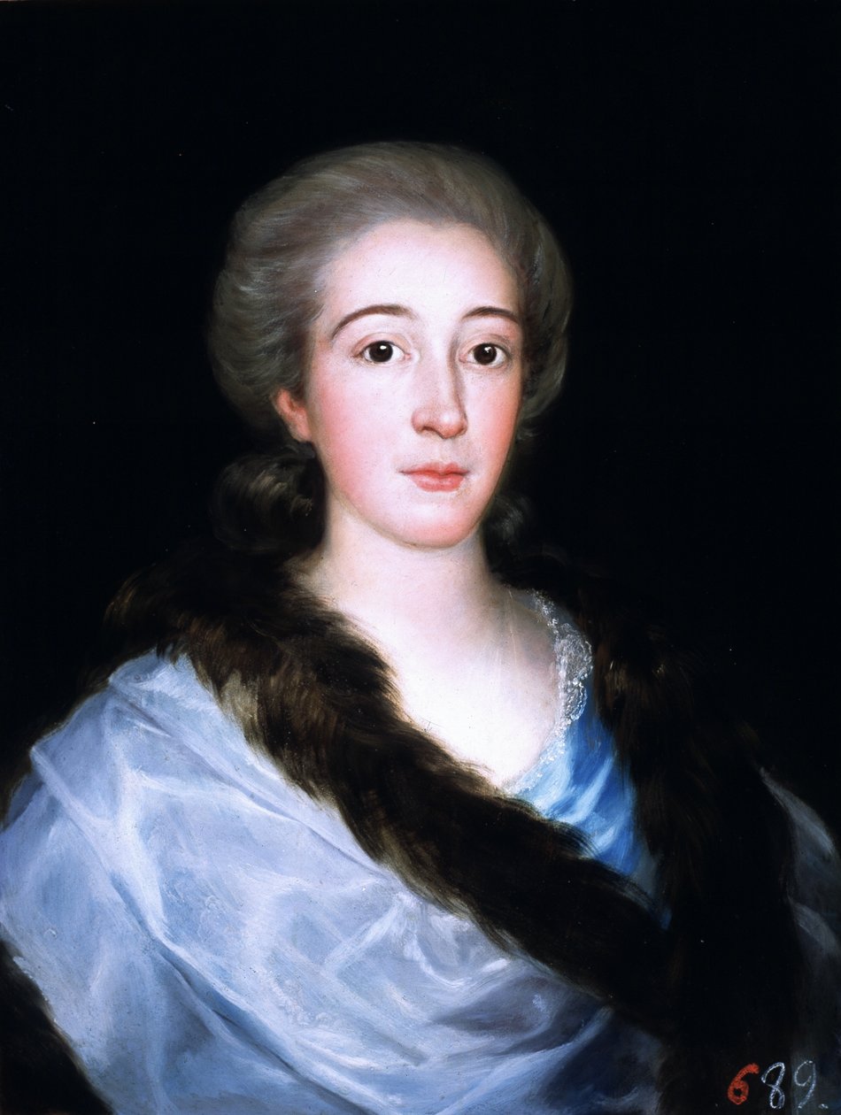 Doña María Teresa de Vallabriga y Rozas