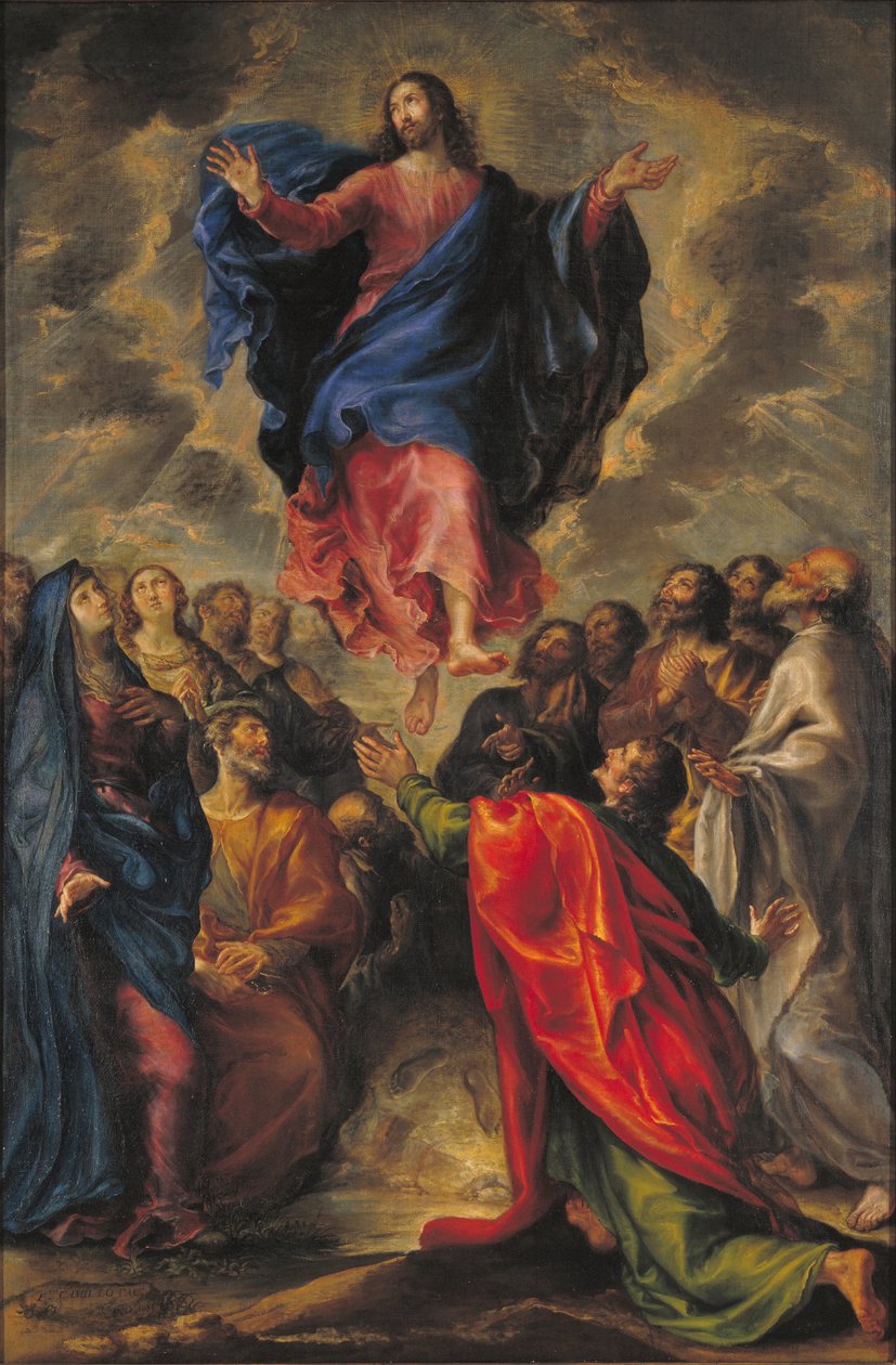  by Francisco Camilo