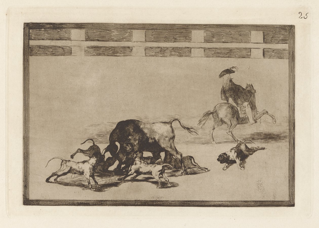 Echan perros al toro (Boğa Üzerinde Gevşek Köpekler), La tauromaquia