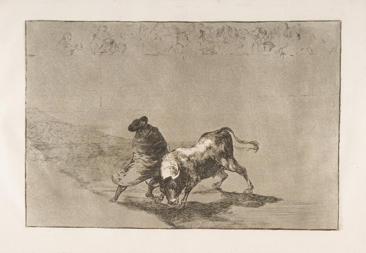 Tauromaquia