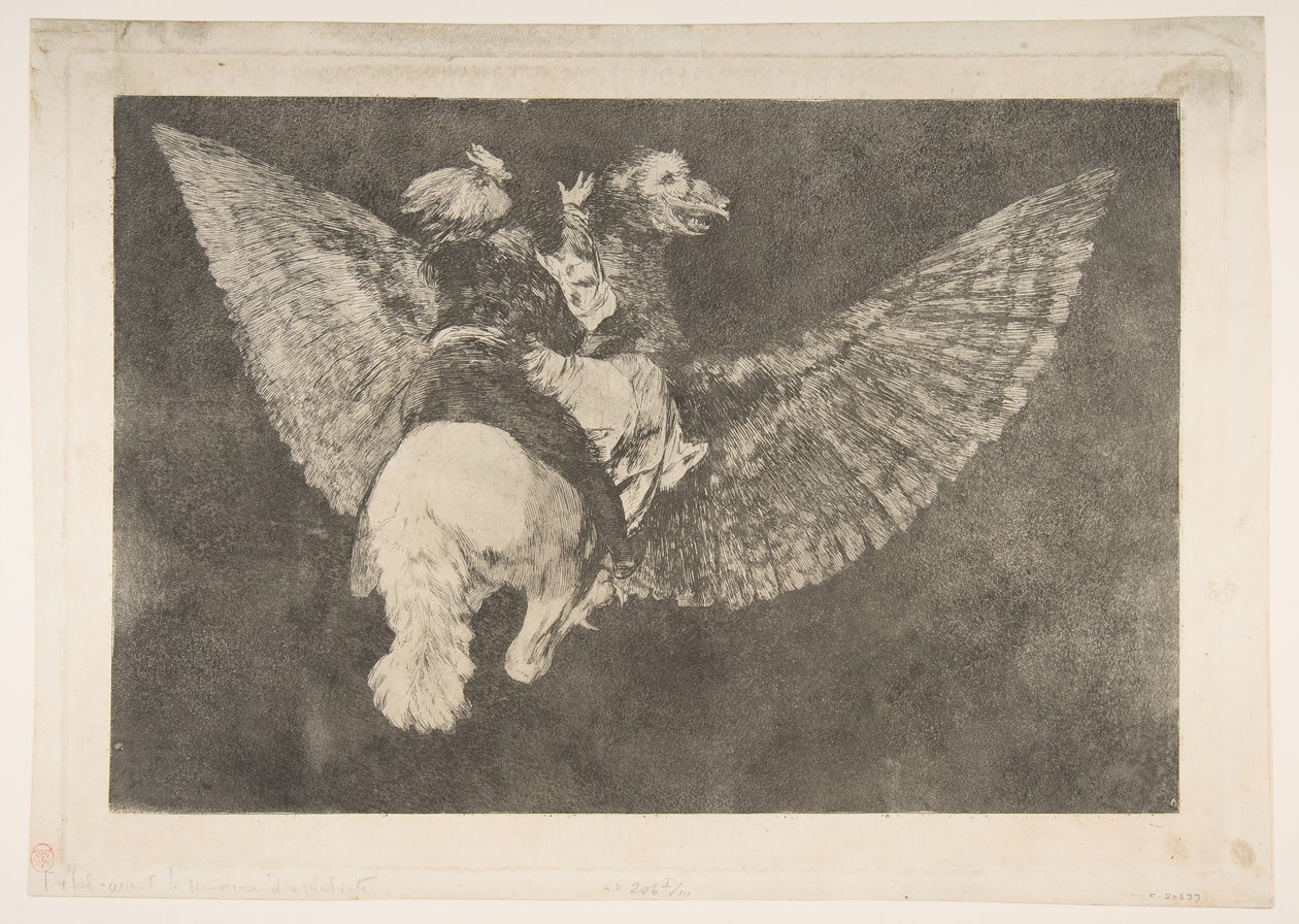 Farklılıklardan 5. Plaka: Uçan Delilik, yakl. 1816-23 özel baskı ca.1854. by Francisco de Goya