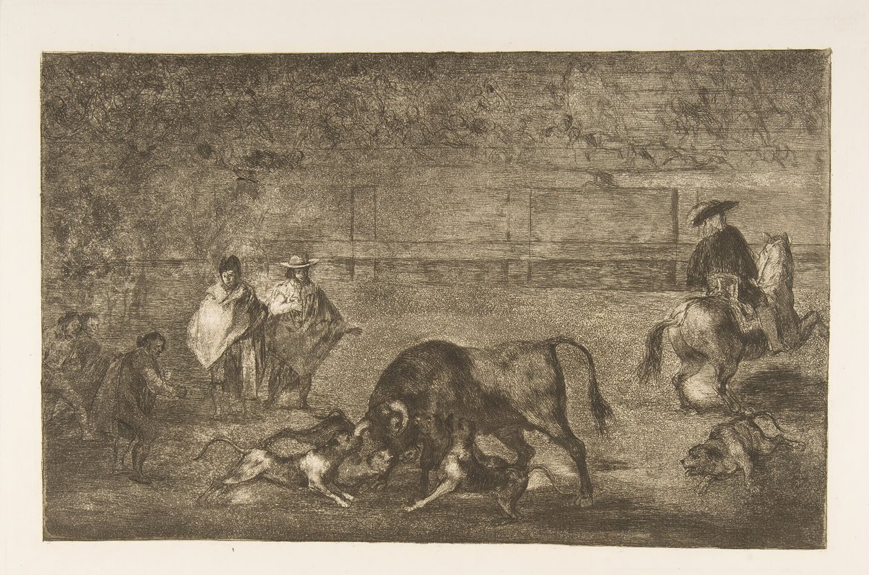 Plaka C: Köpekler boğanın üzerine saldı., ca. 1816. by Francisco de Goya