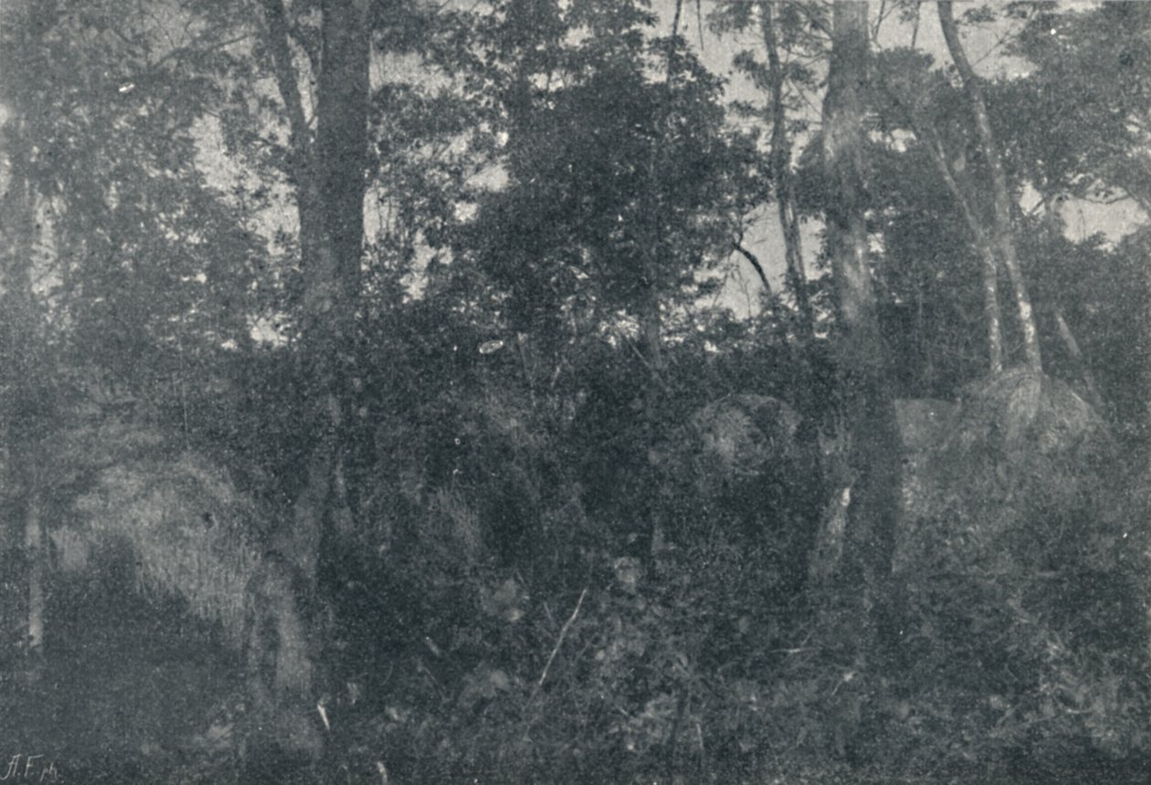 Hint Kulübeleri, 1895 by Francisco Henszler
